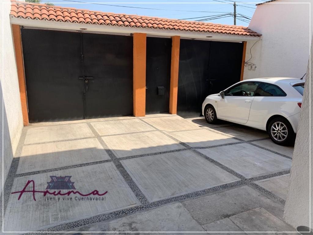 Aruma كويرنافاكا المظهر الخارجي الصورة